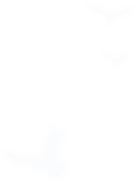 《完美世界Ｍ》
